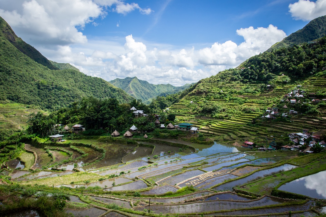 philippines  rice terraces  batad free photo