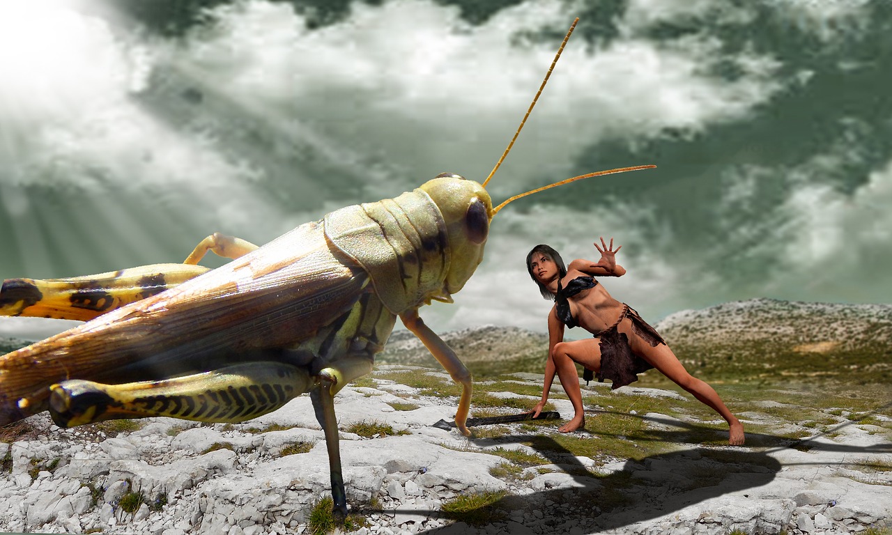 phobia  grasshopper  combat free photo