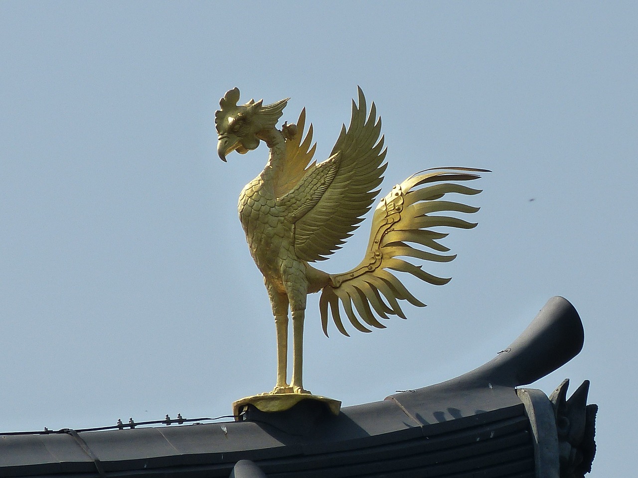 phoenix byodoin temple kyoto free photo