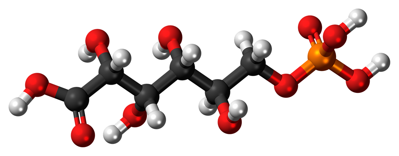 phosphogluconic acid organophosphate molecule free photo