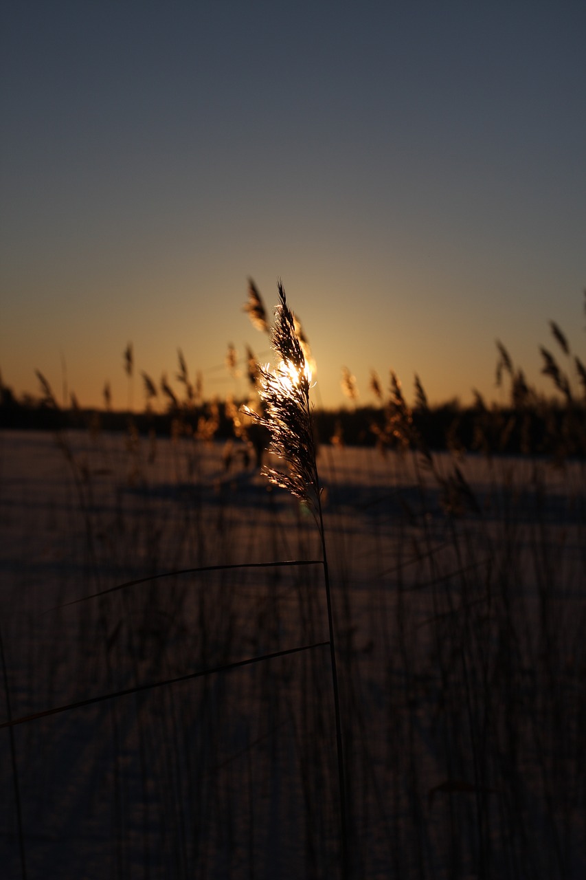 photo sunset snow free photo