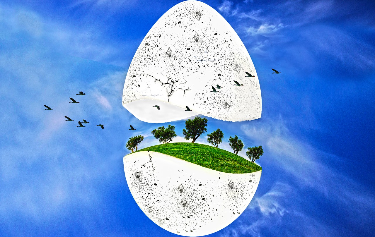 photo manipulation egg trees free photo