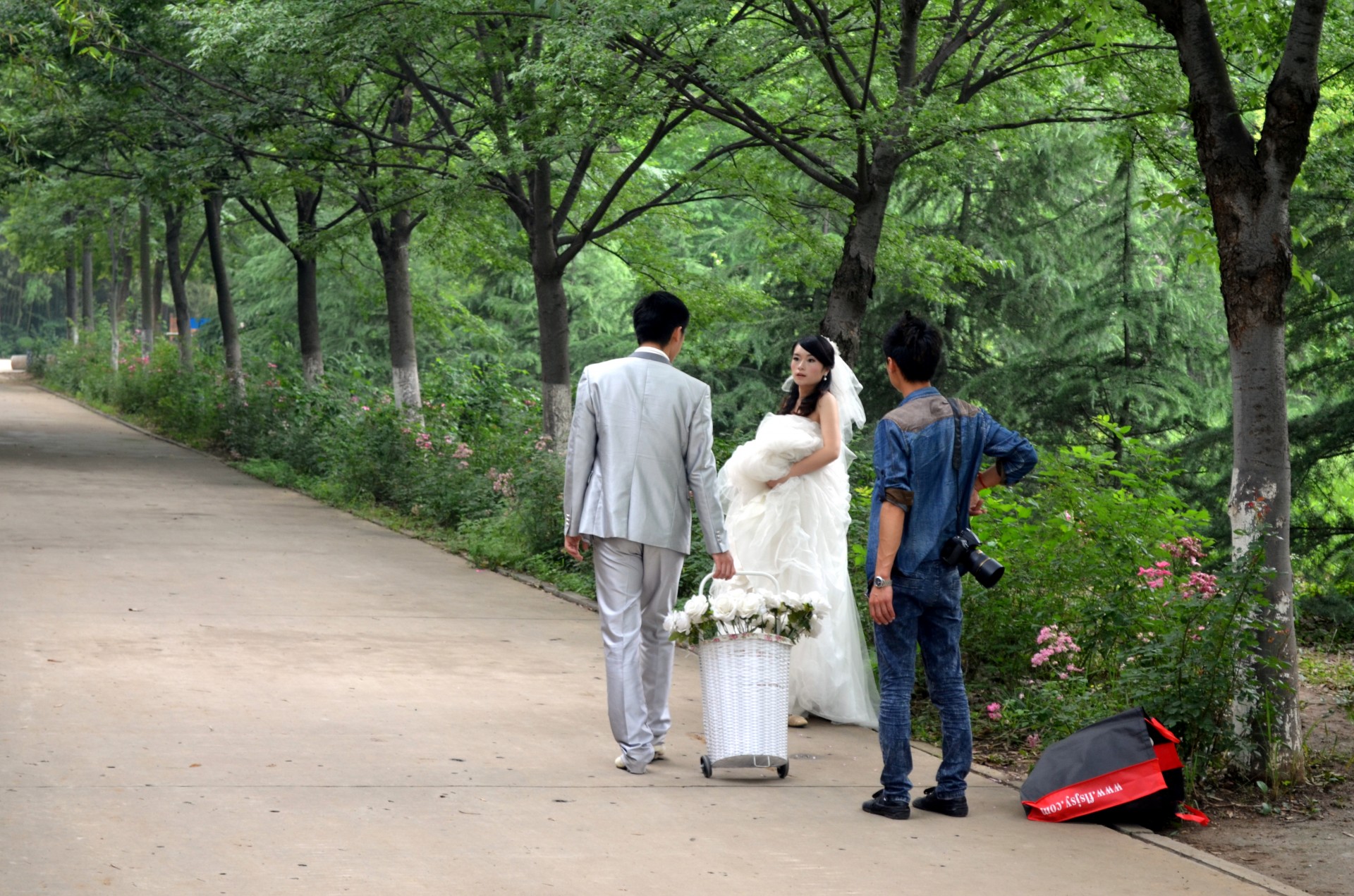 bride groom photographer free photo