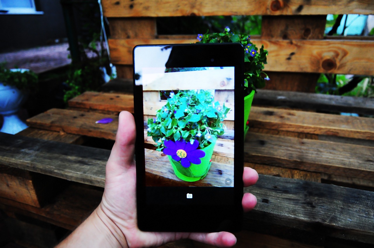 photo tablet landscape flowers free photo