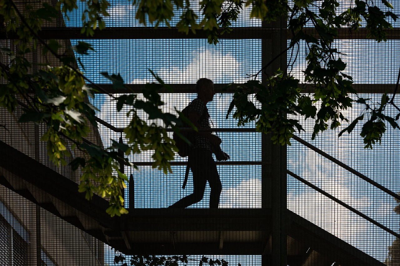 photographer  silhouette  stairs free photo