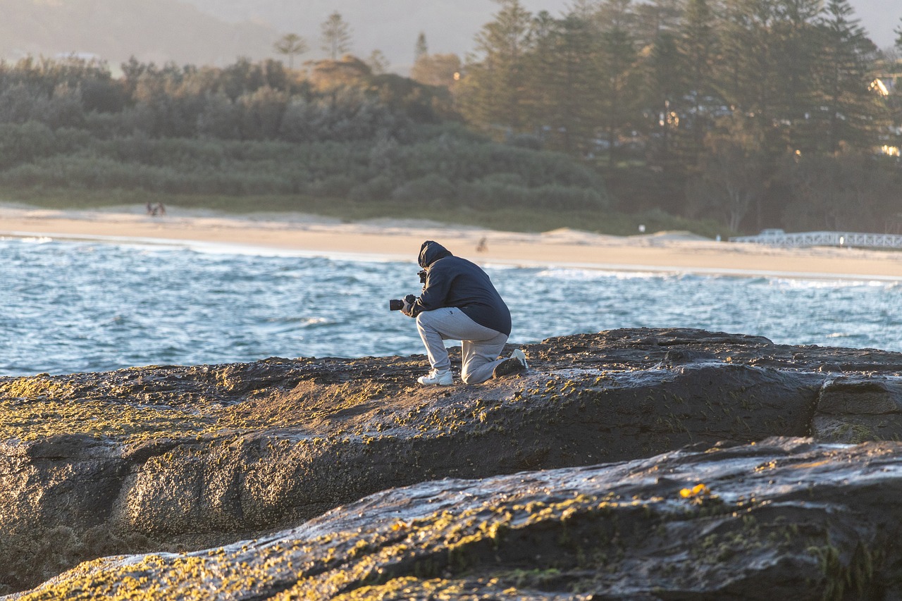 photographer  sea  rock free photo