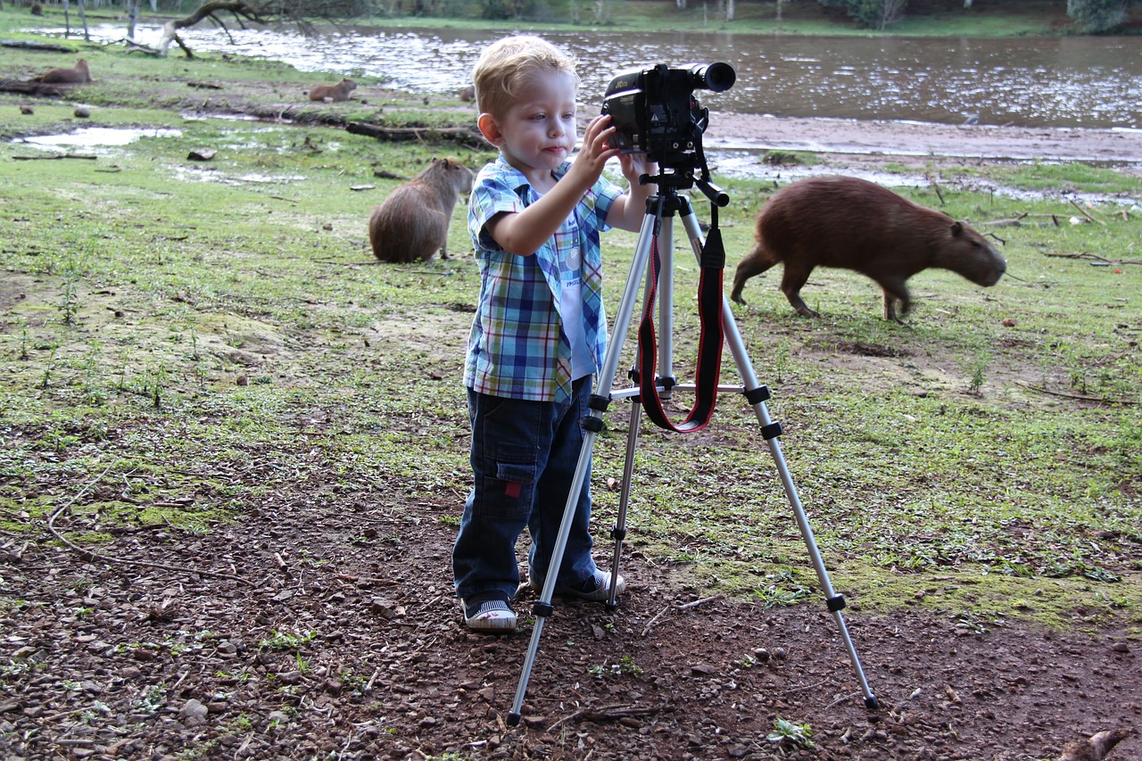 photographer swamp capybara free photo
