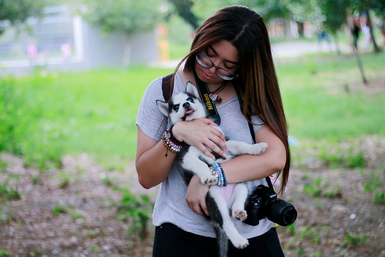 photography  dog  woman free photo