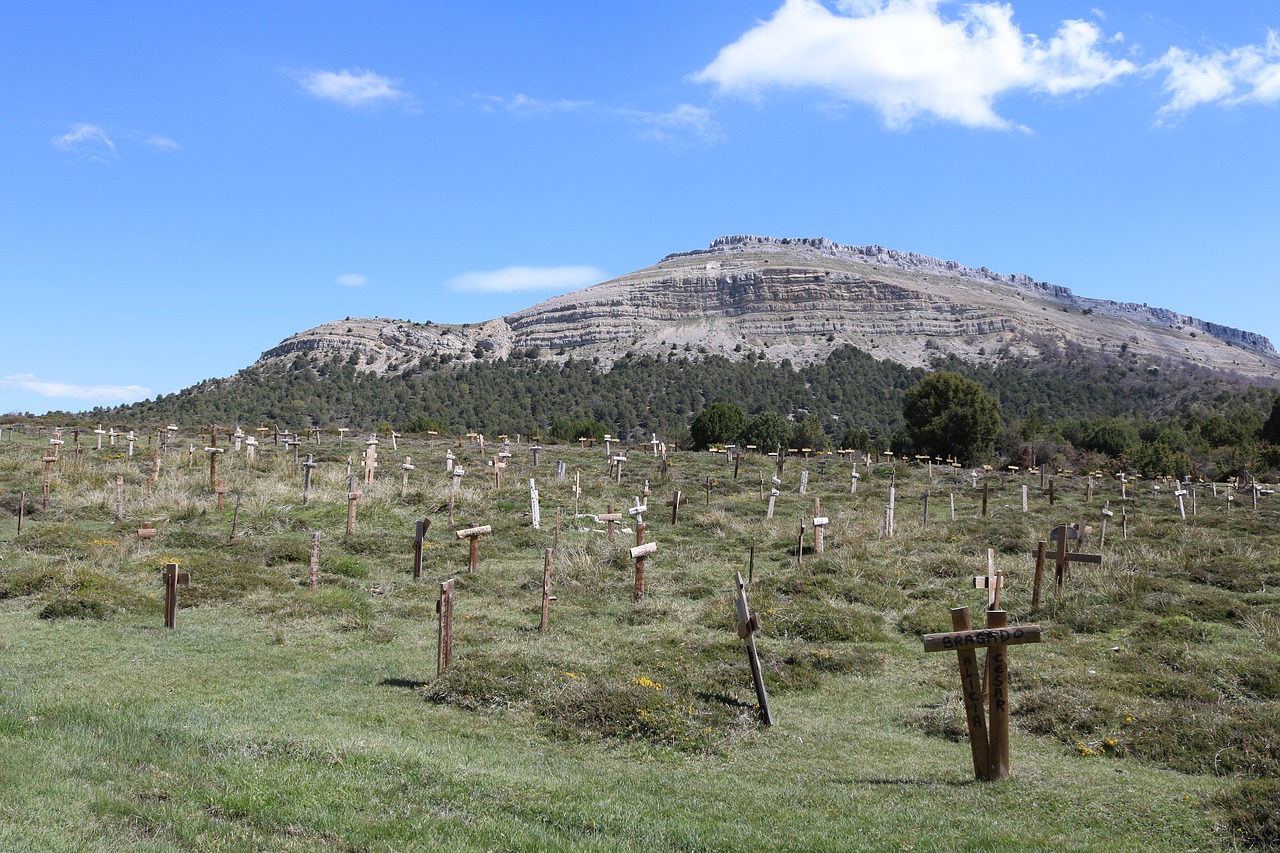 photography  cemetery  sad free photo