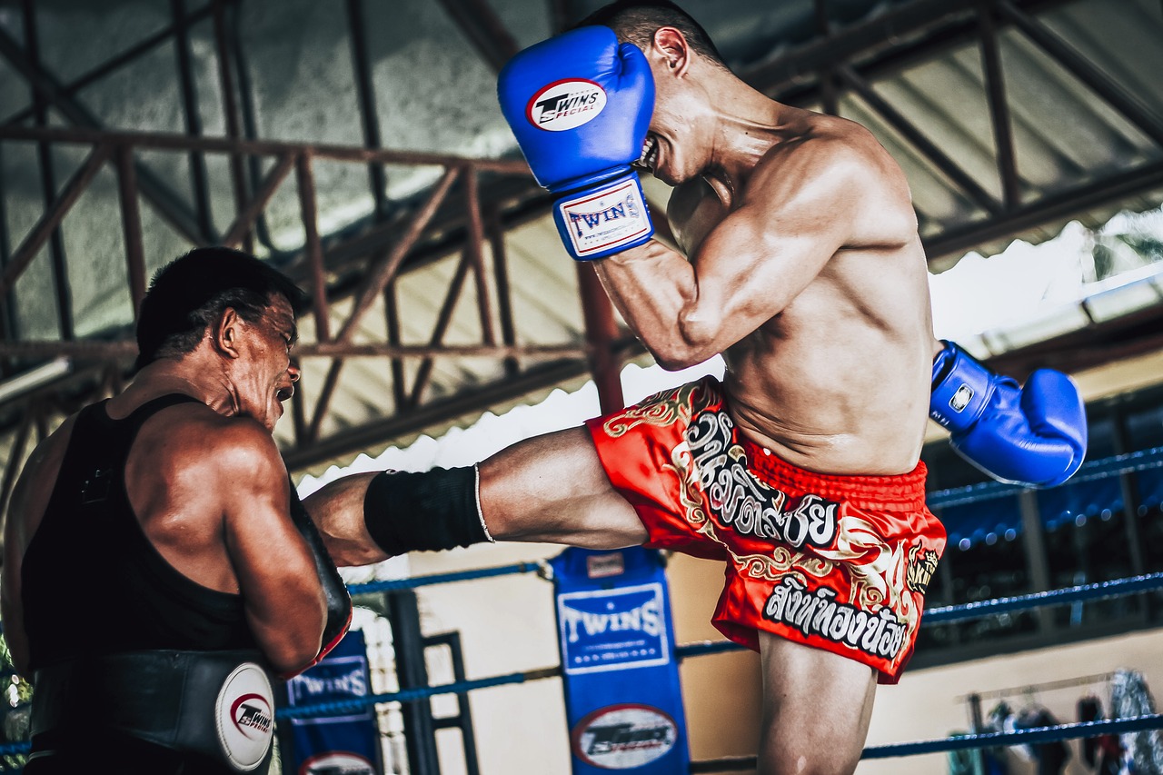 phuket  thailand  muay thai free photo