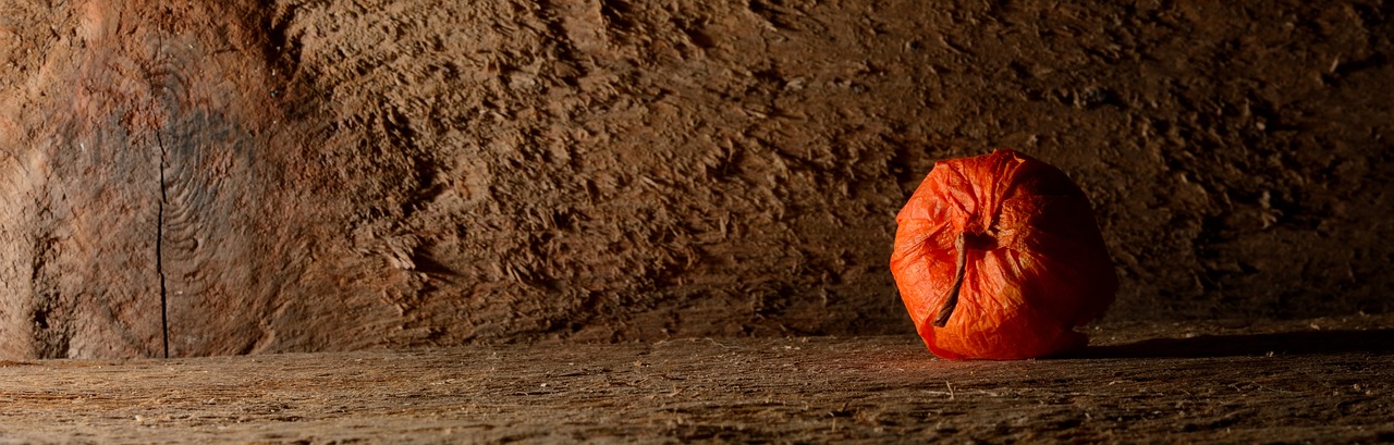 physalis fruit orange free photo