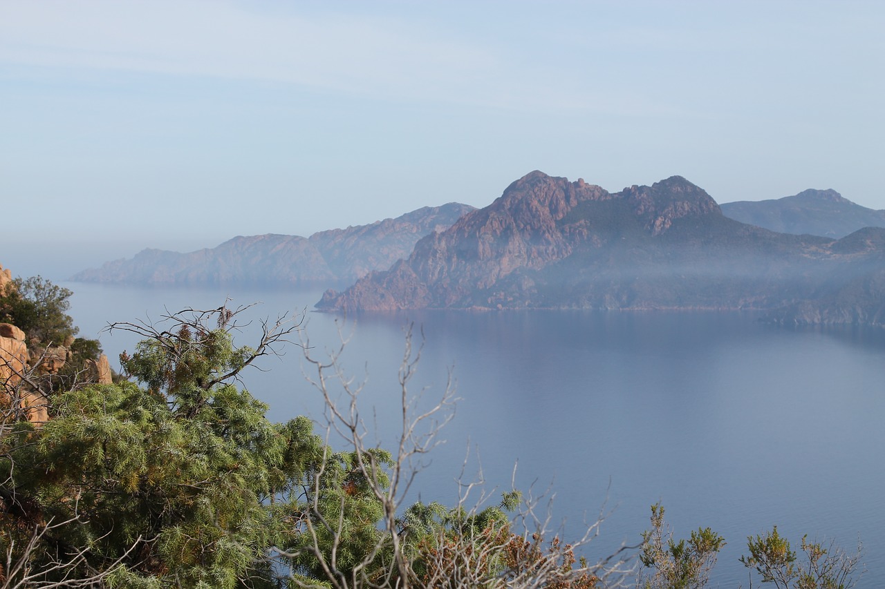 piana port corsican free photo