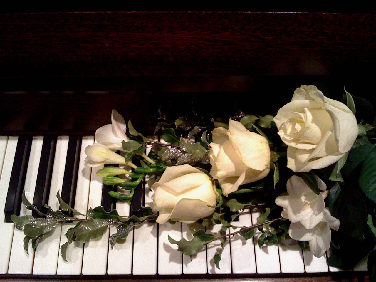 piano roses music free photo