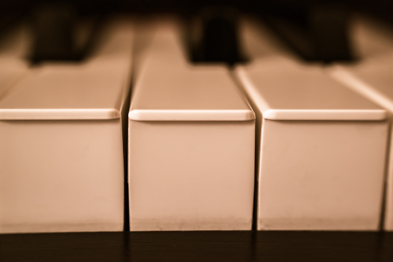 piano keys piano keys free photo