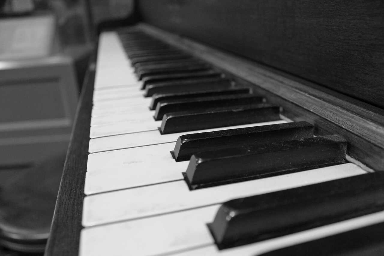 piano keys black and white free photo
