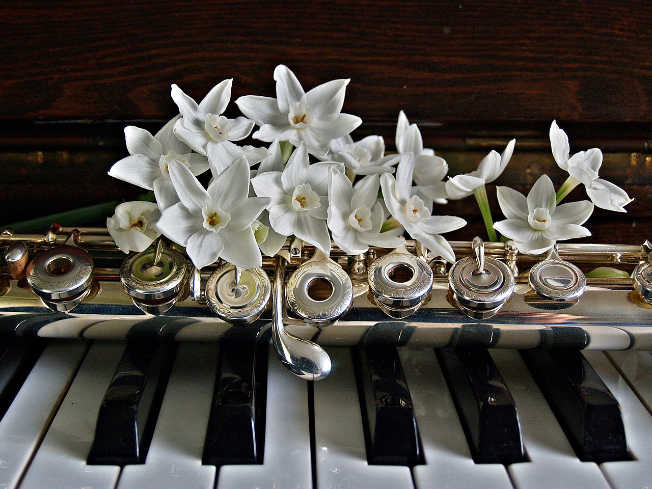 piano flute jonquils free photo