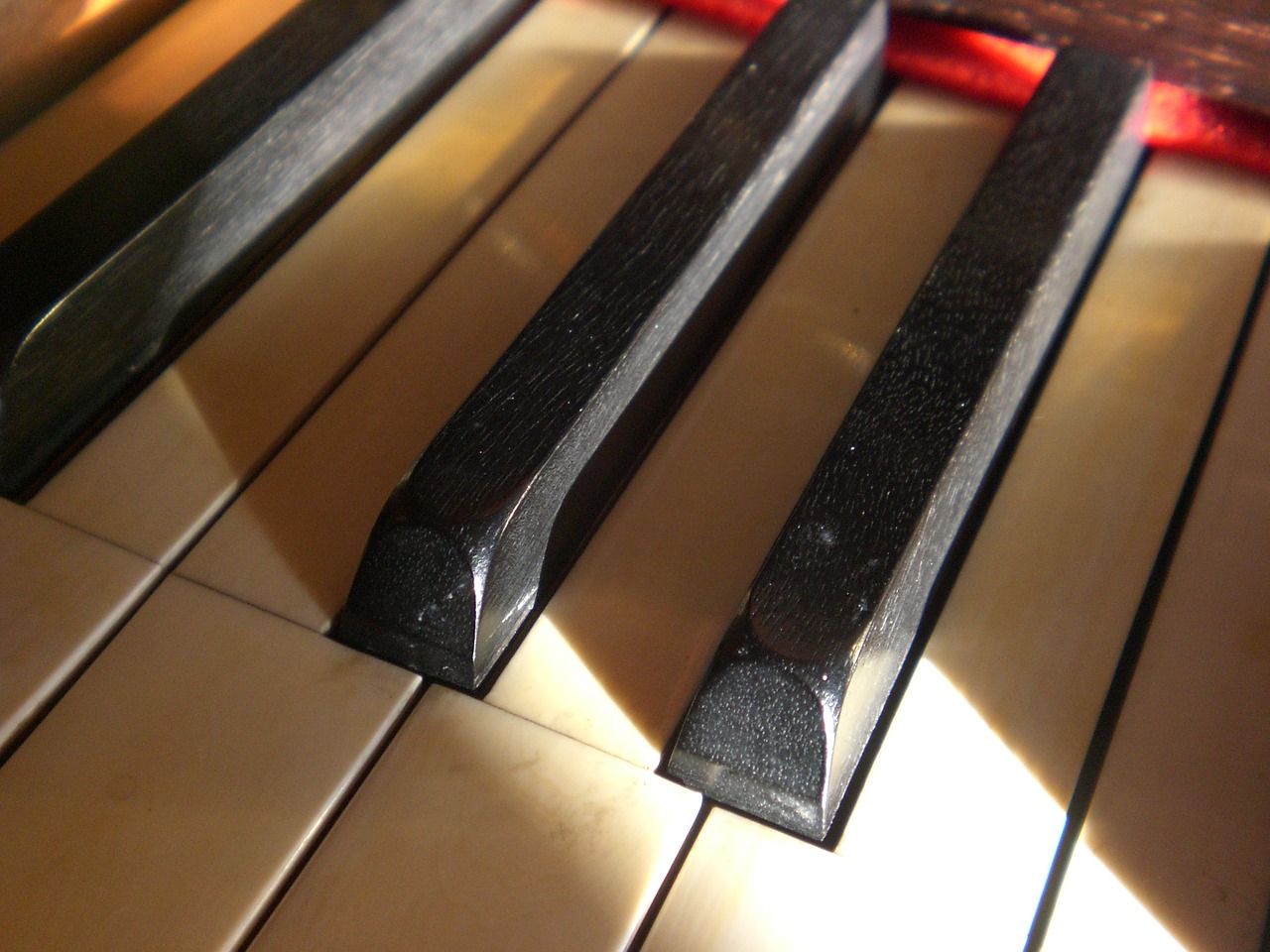 piano keyboard keys free photo