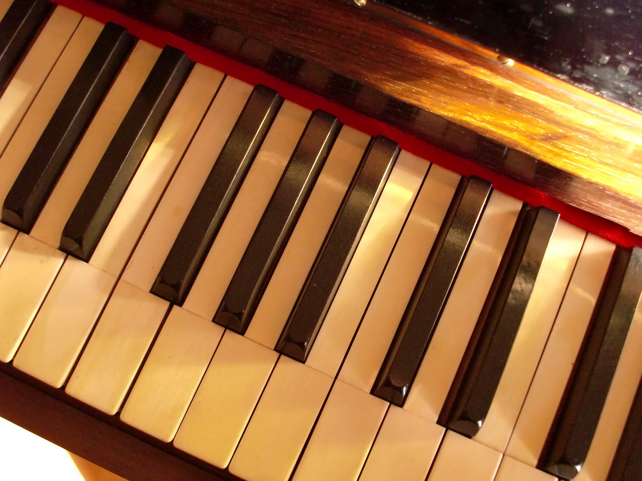 piano ivory keys free photo