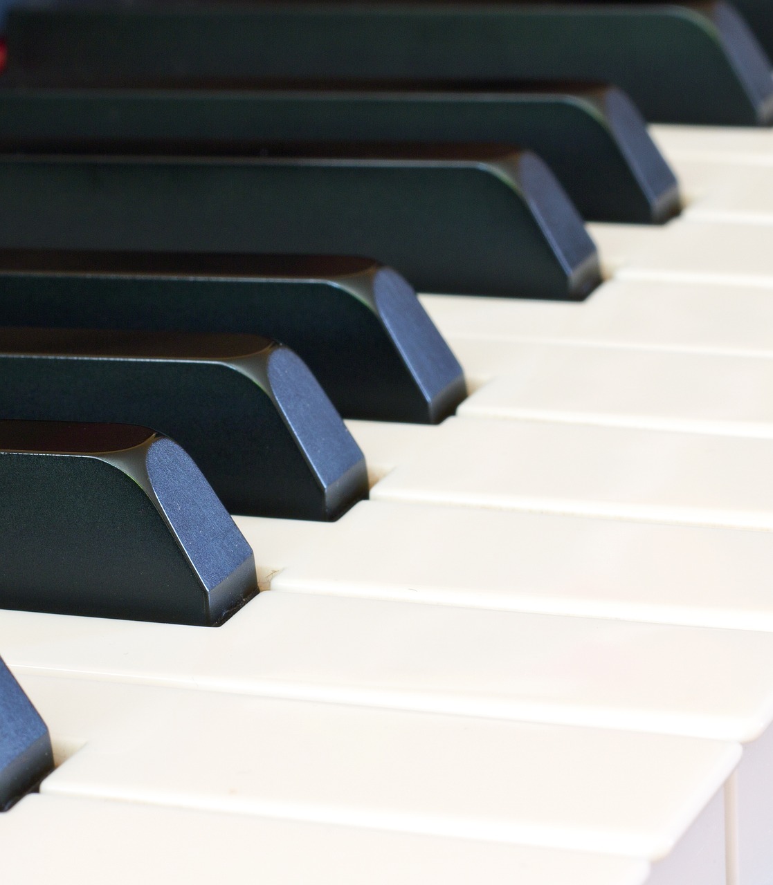 piano keyboard keys free photo