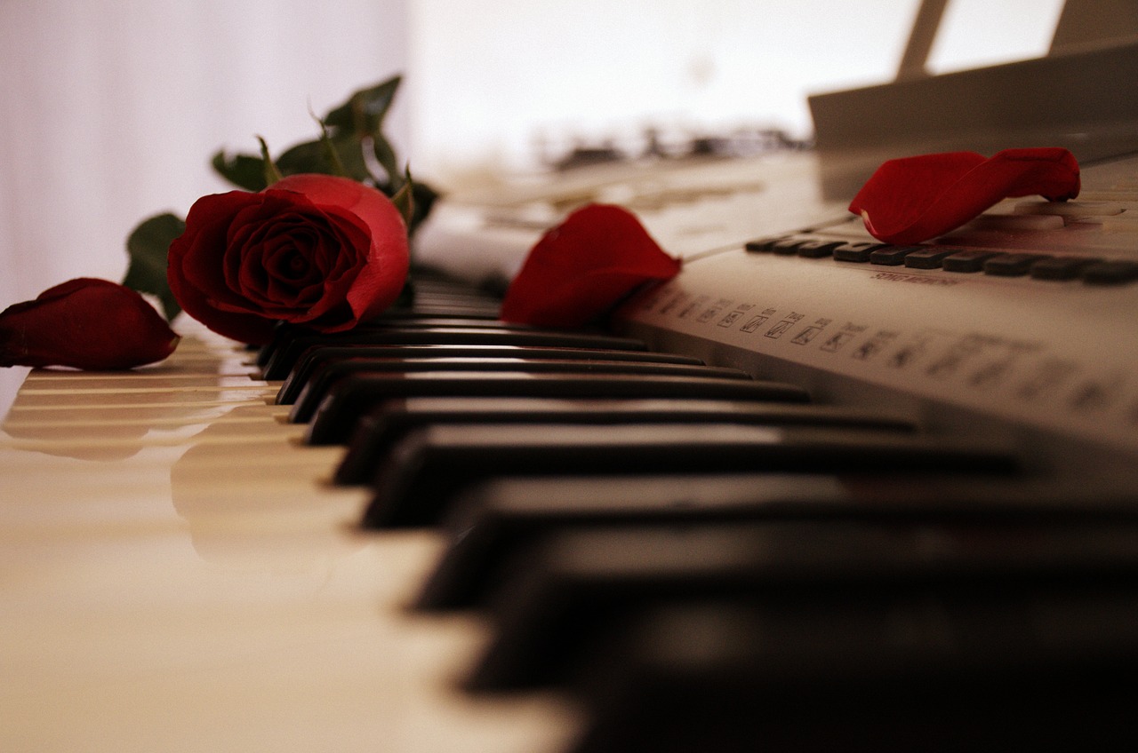 piano rose keyboard free photo