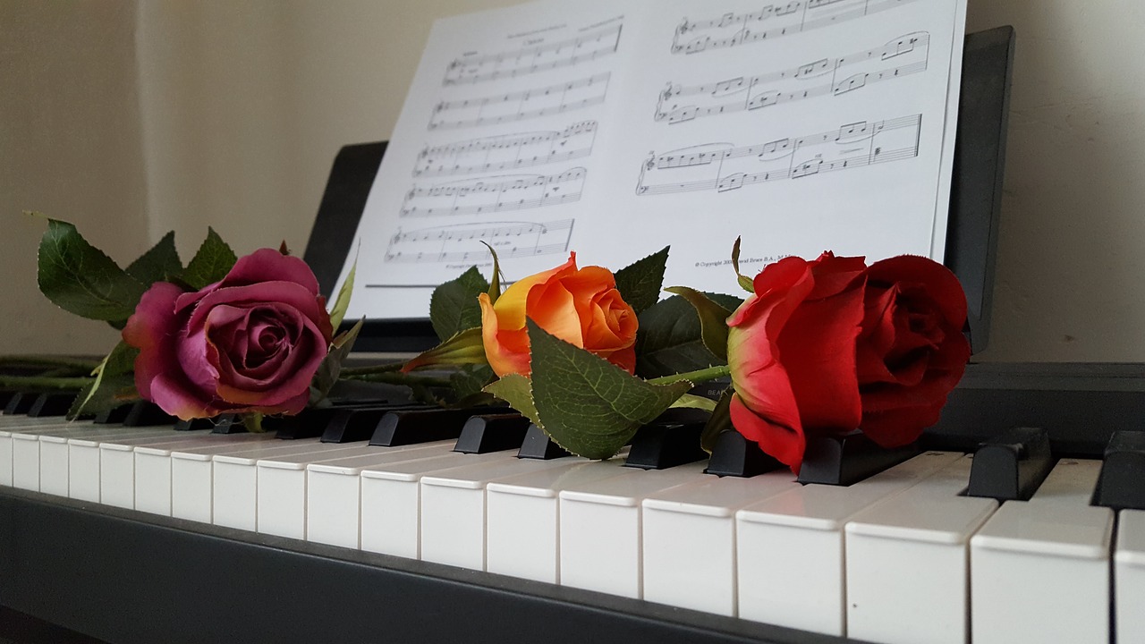 piano rose free pictures free photo