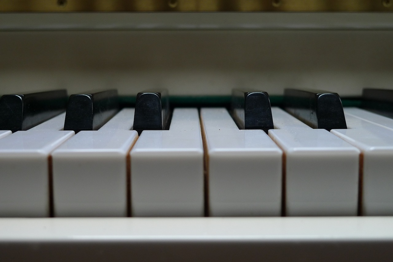 piano  music  key free photo