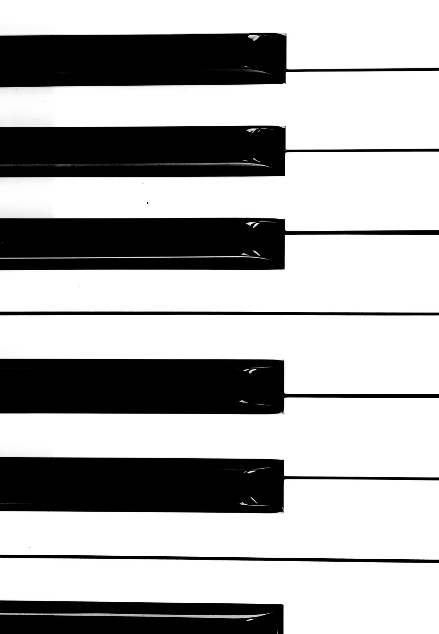 piano  black and white  keys free photo