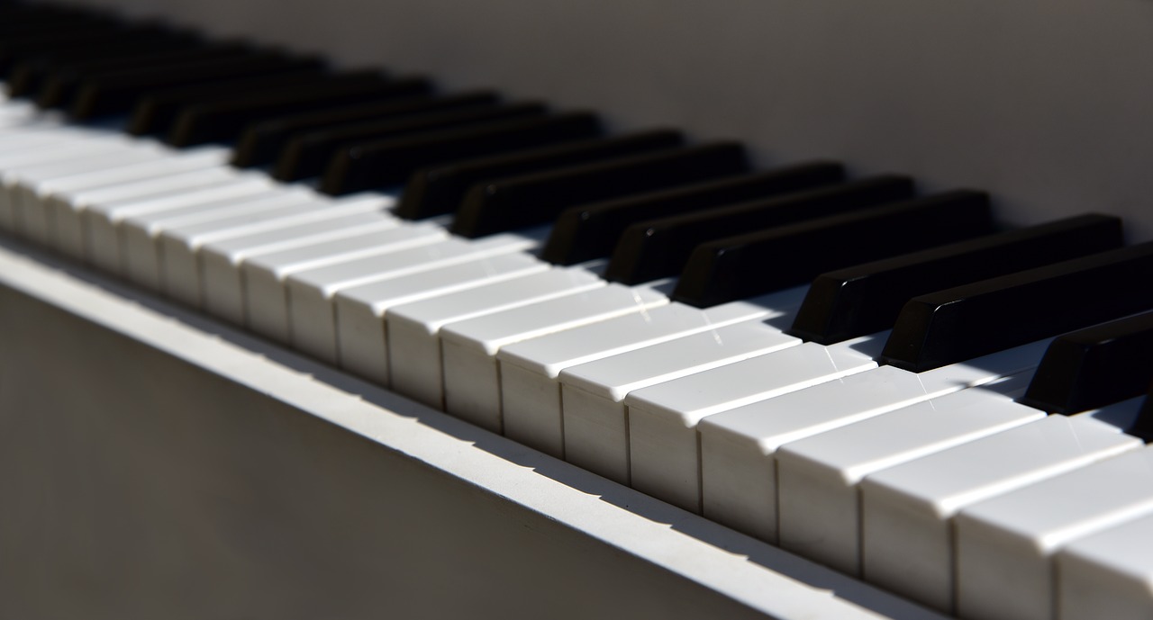 piano  keyboard  instrument free photo