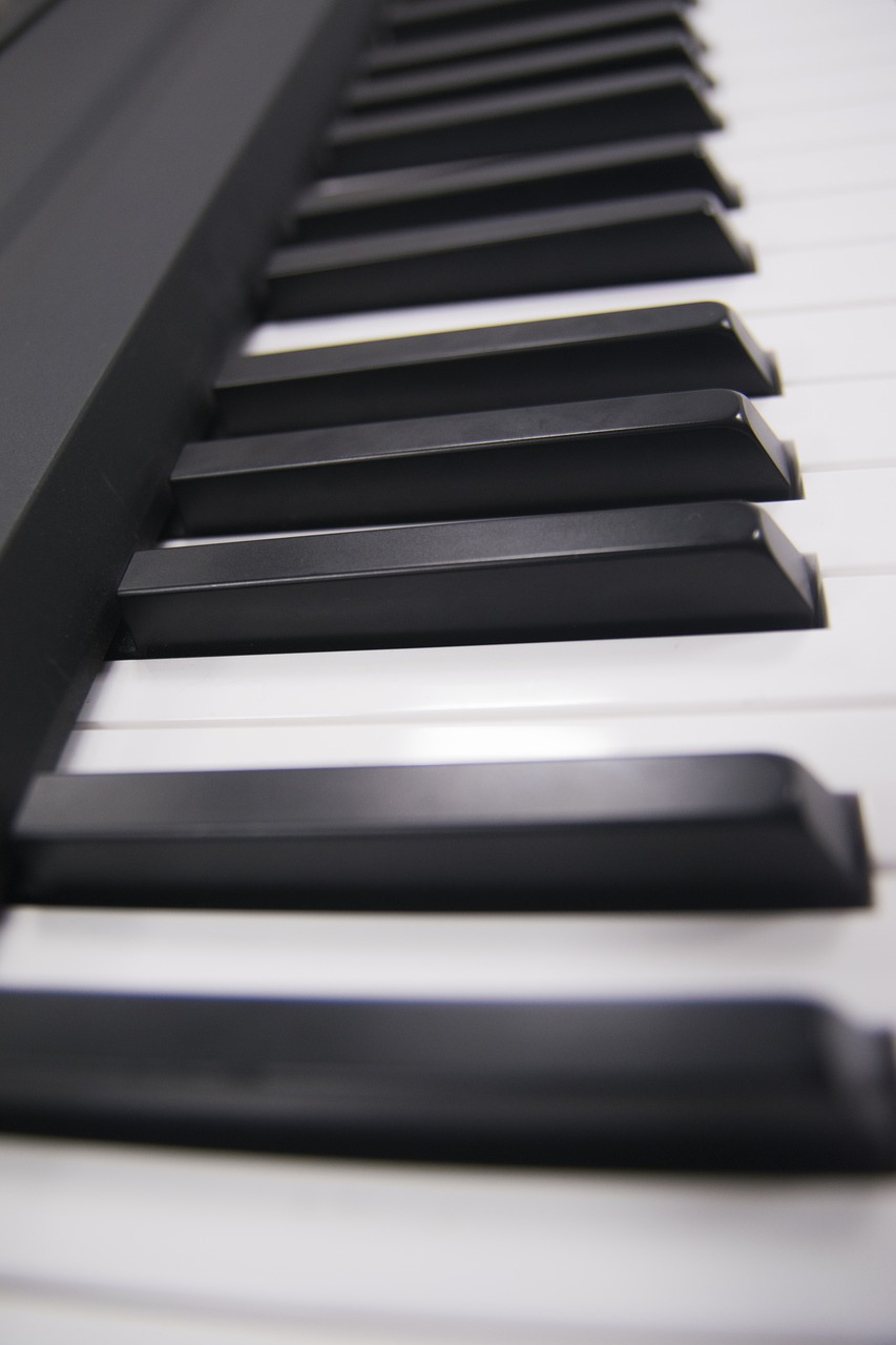 piano  mono  instruments free photo