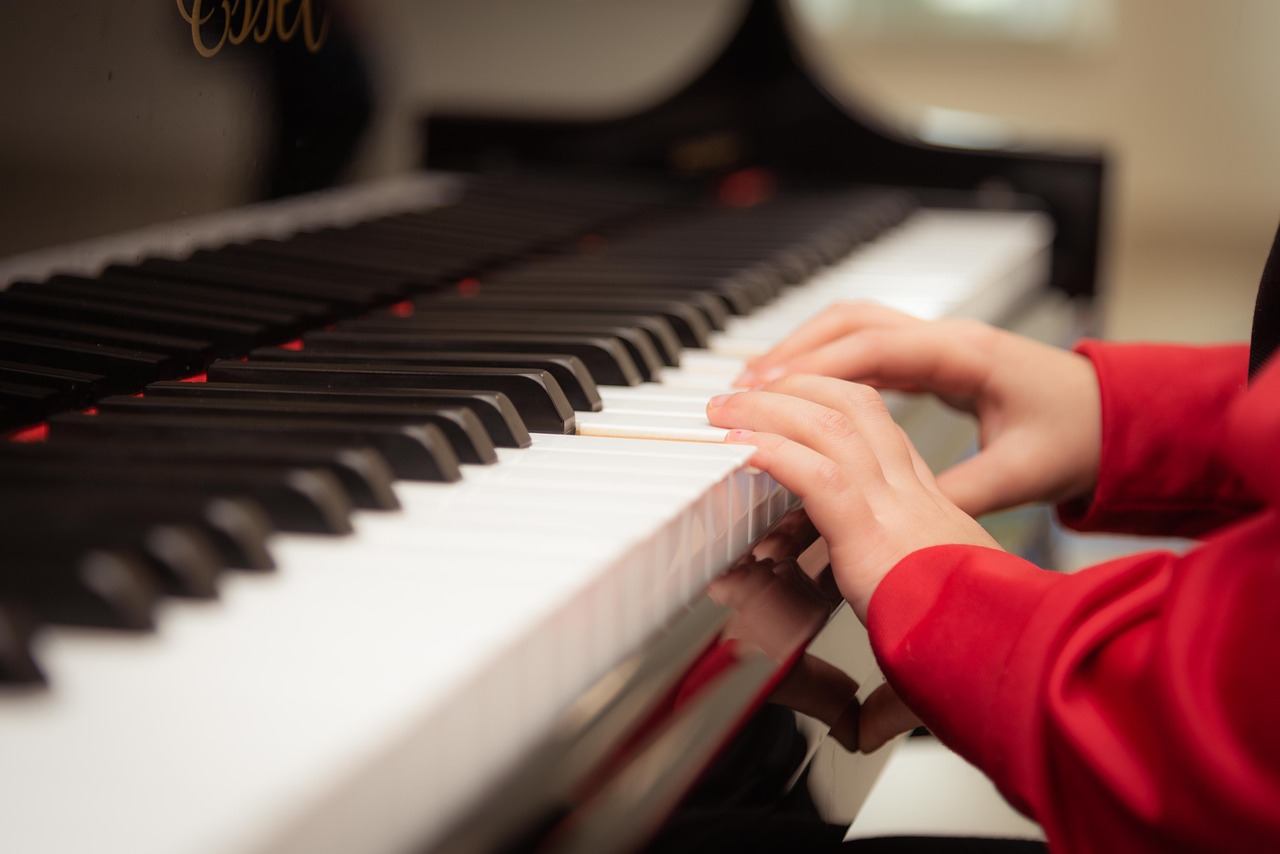 piano  playing  learning free photo