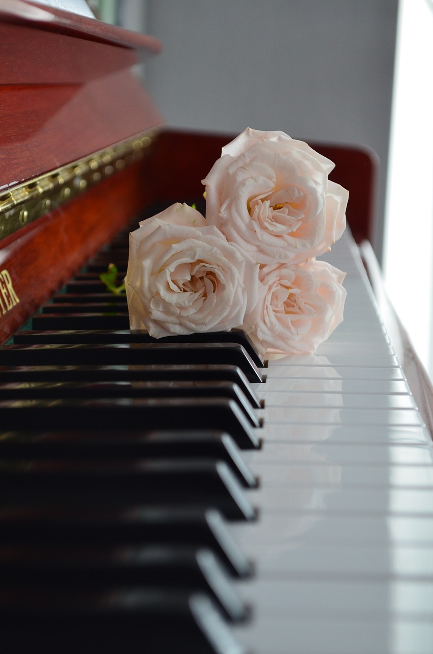 piano  keyboard  white free photo