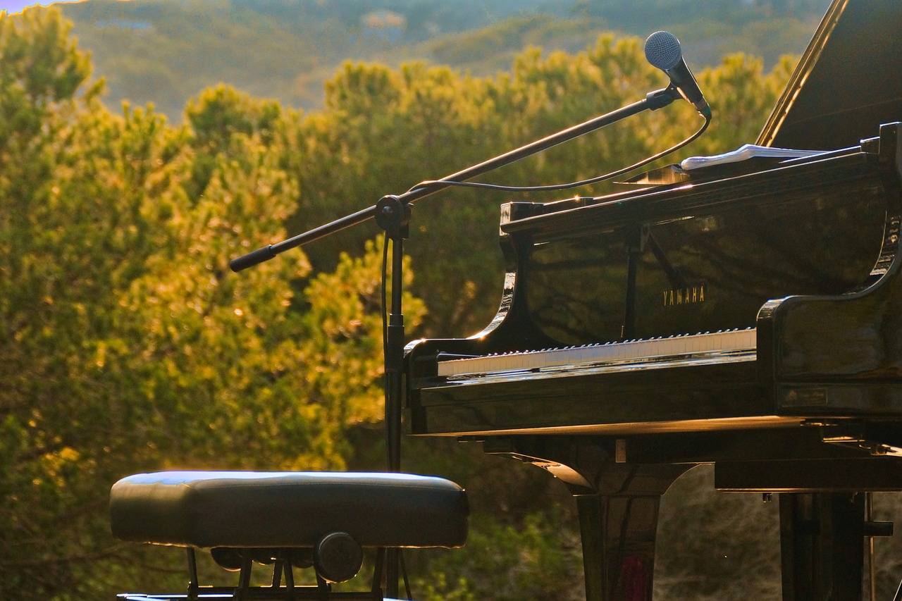 piano  open air  nature free photo