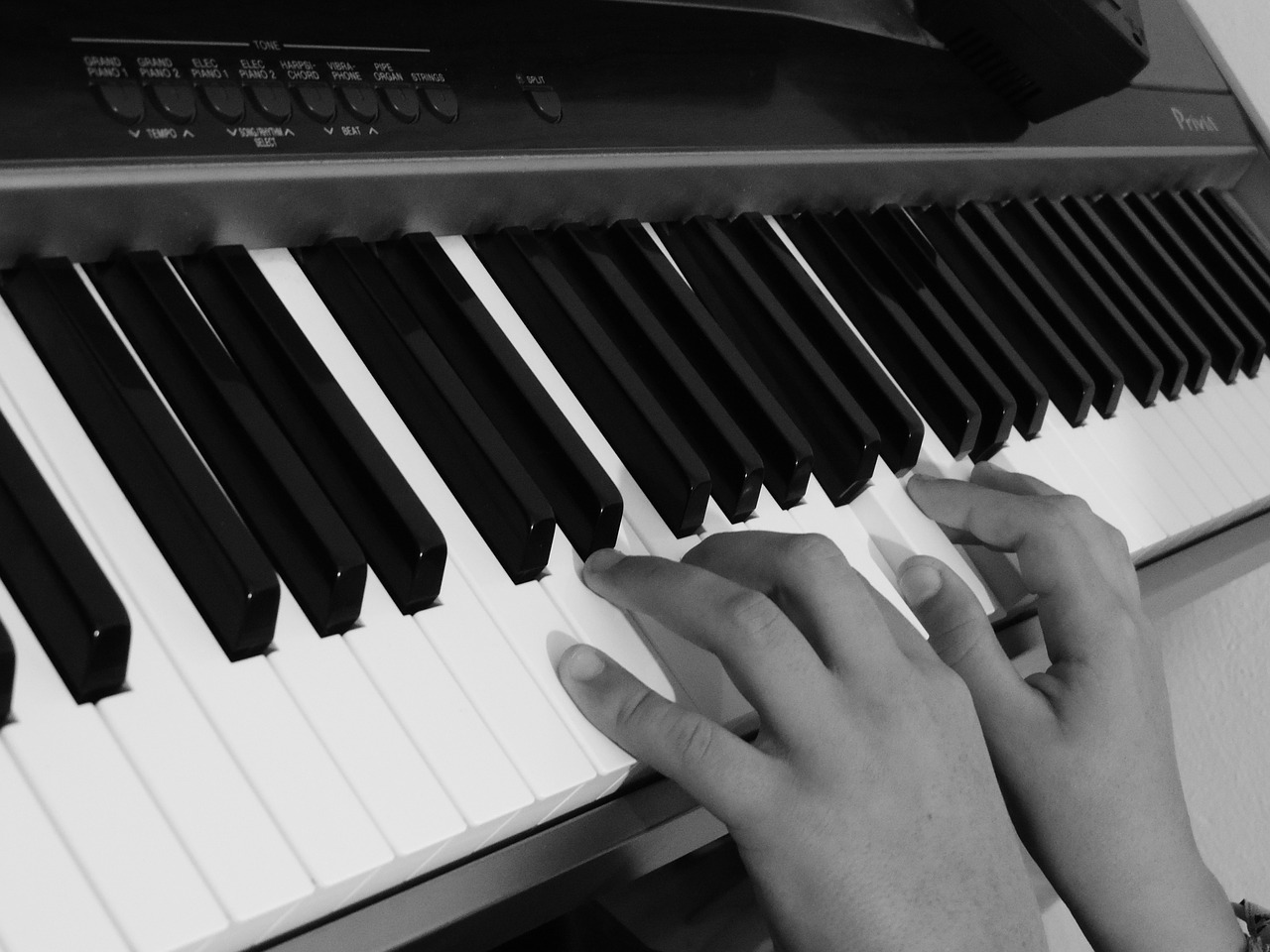 piano hands keys free photo