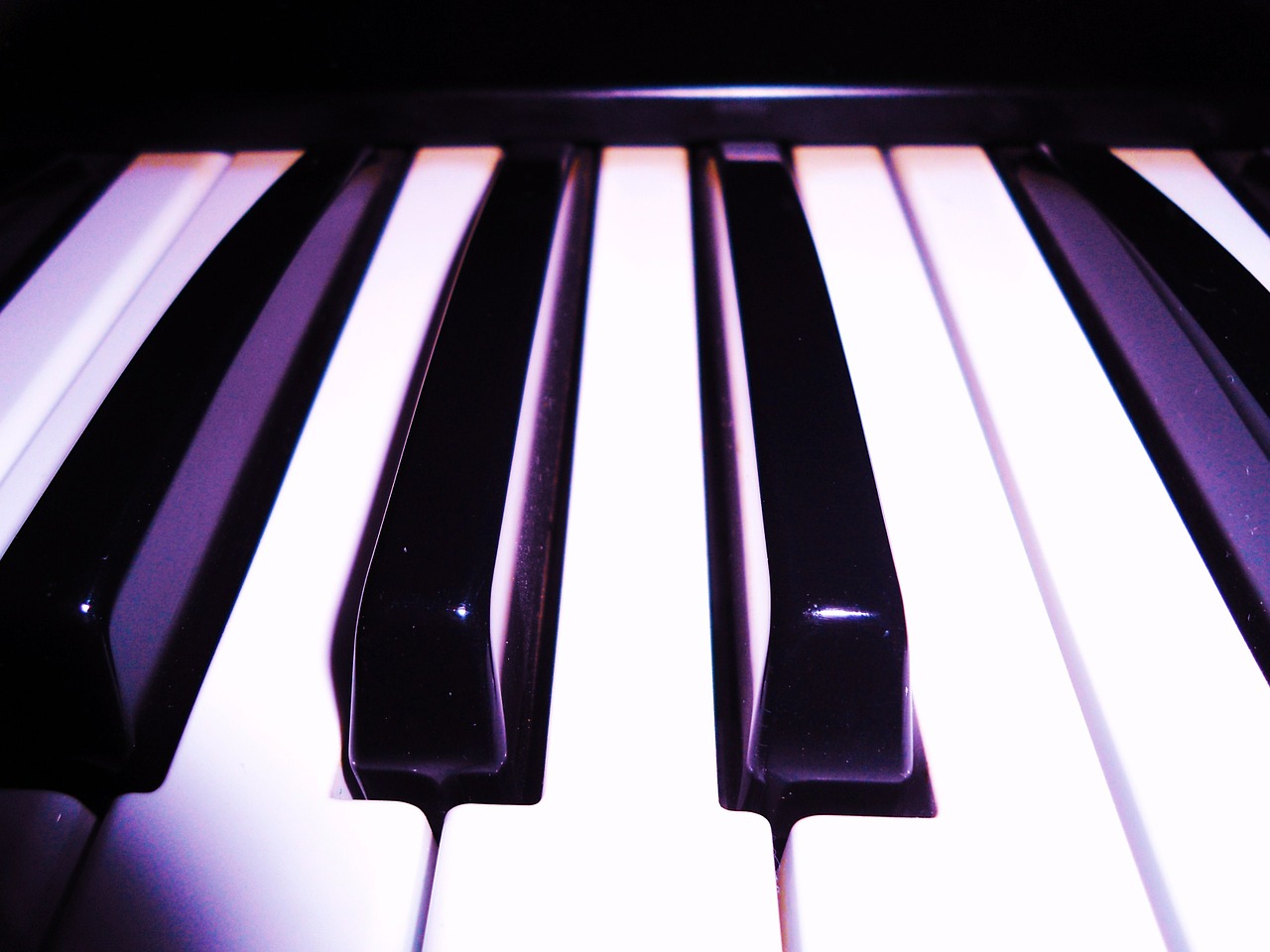 piano organ keyboard free photo