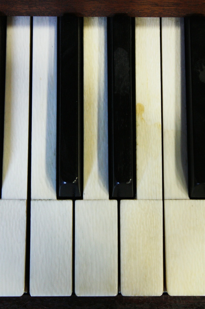 piano piano keys play the piano free photo