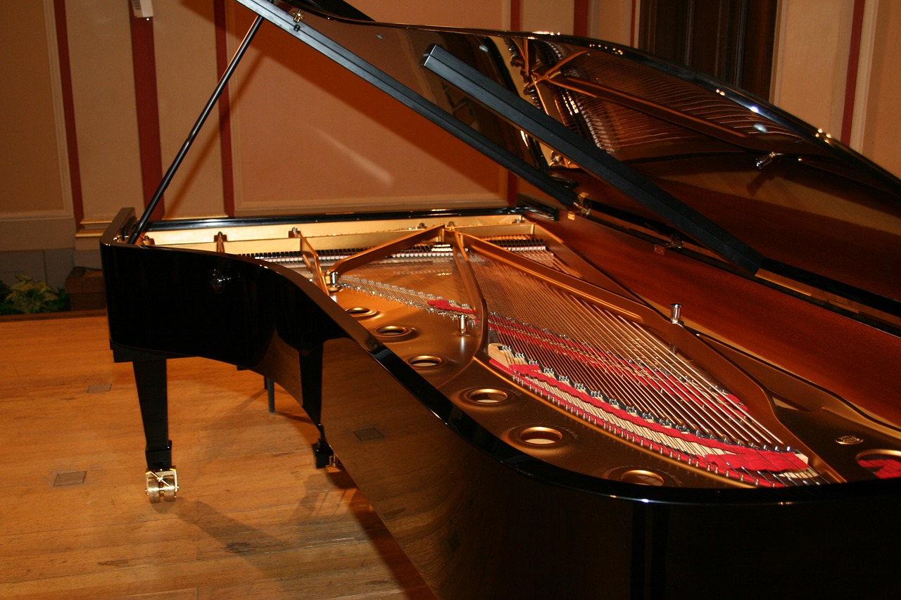 piano concert concert hall free photo