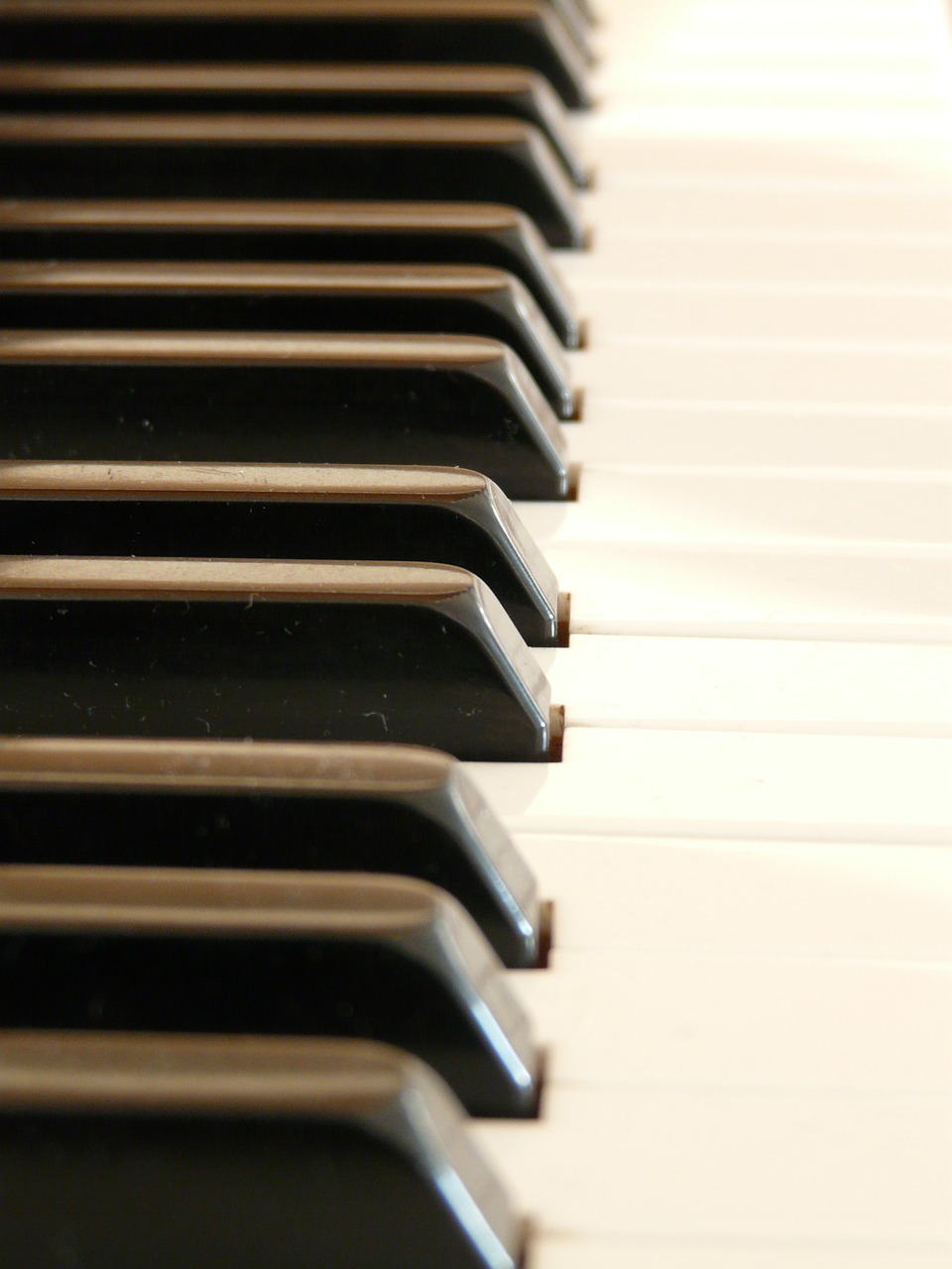 piano piano keys white free photo