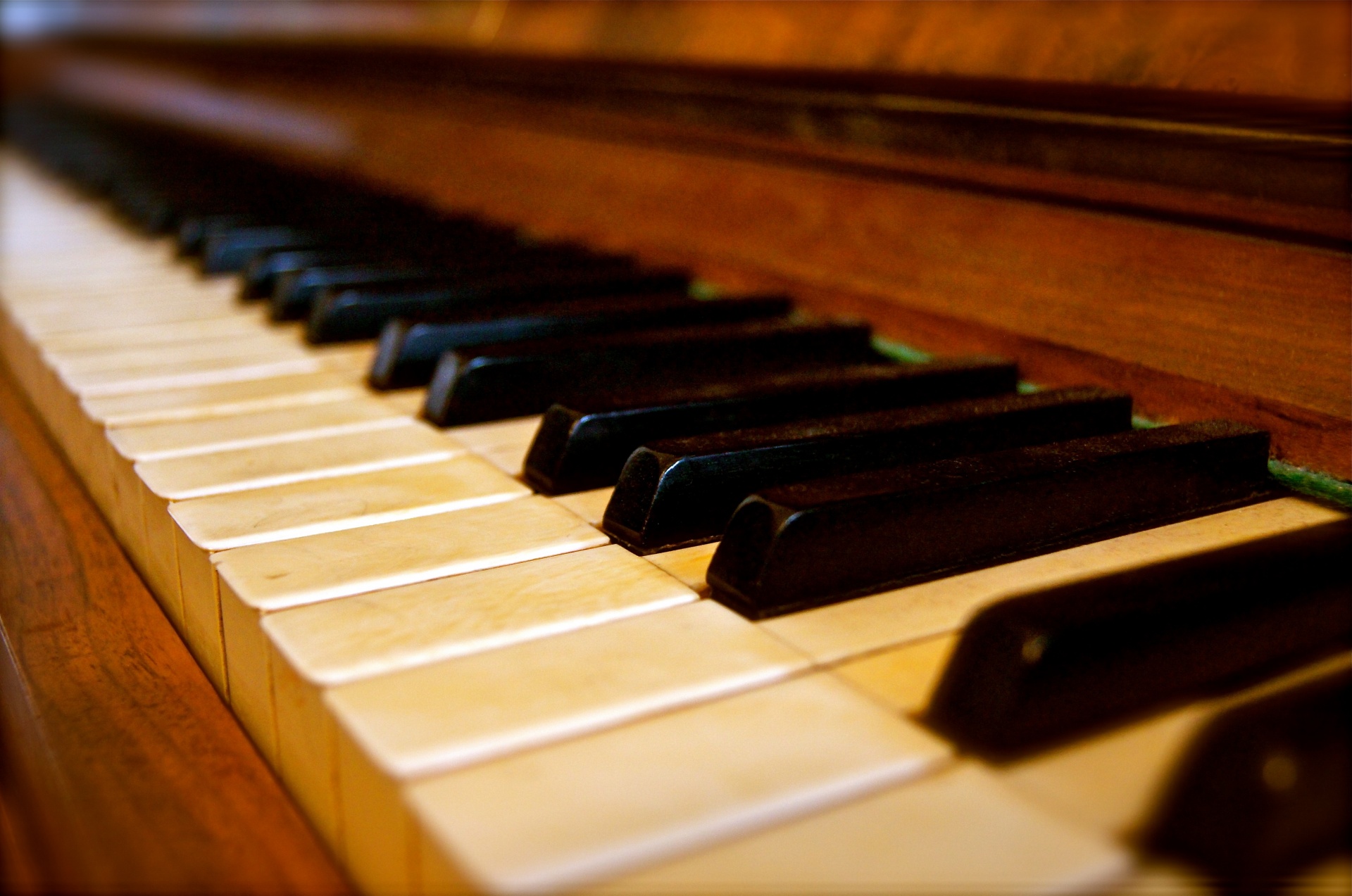 keyboard black white free photo