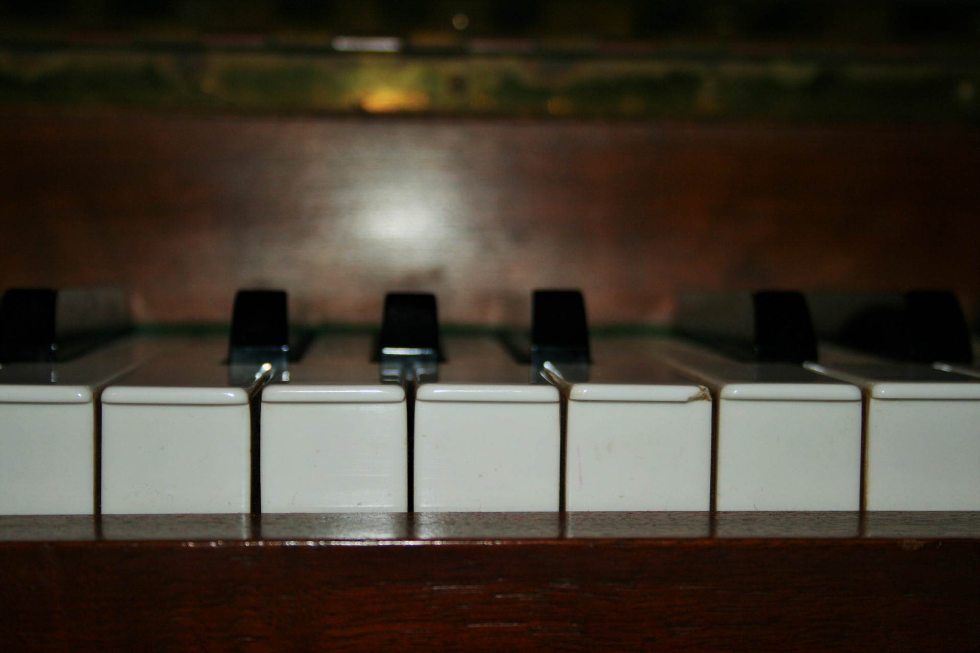 instrument musical piano free photo