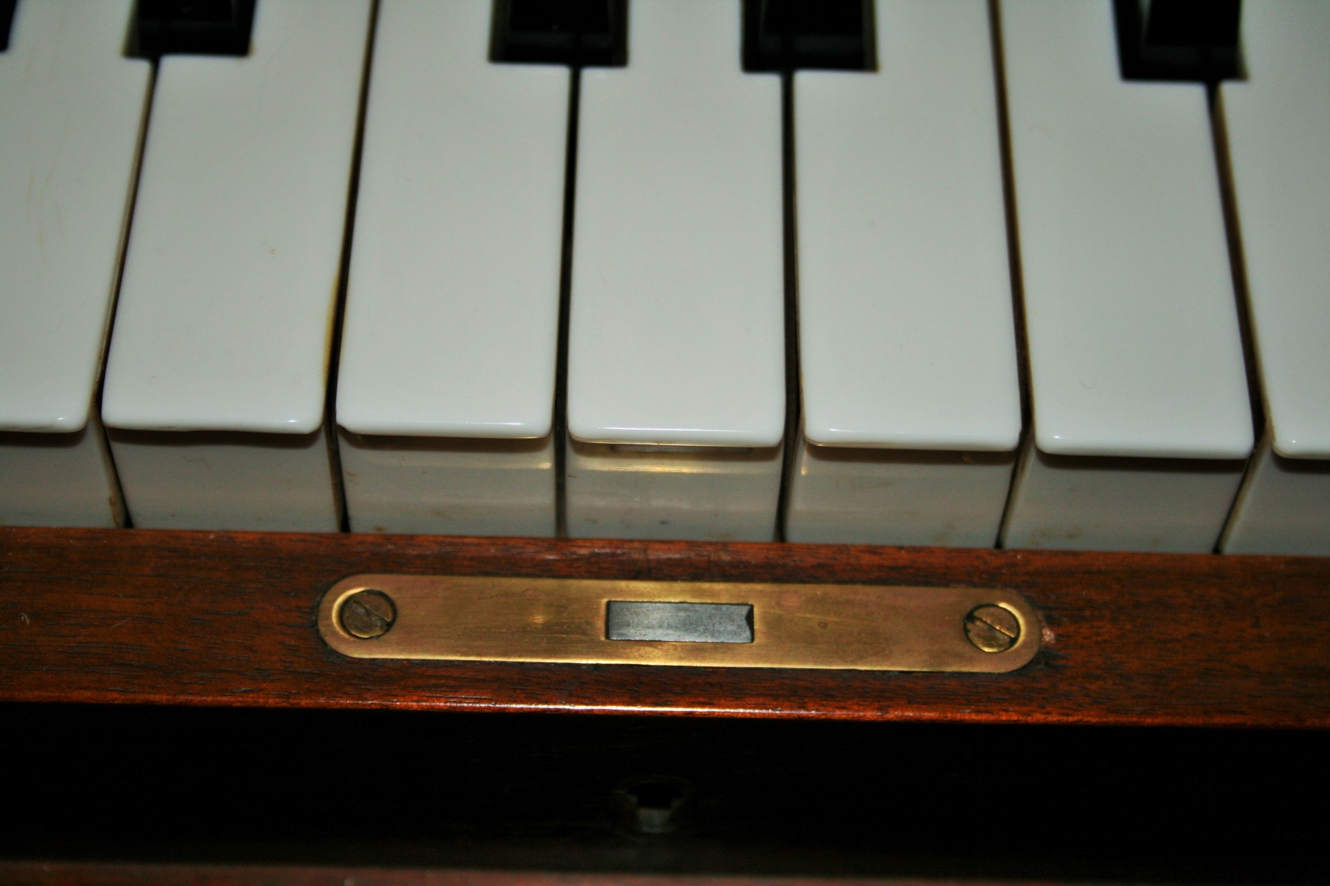 instrument musical piano free photo