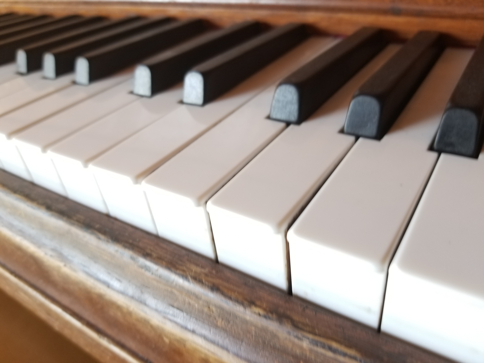 black white piano keys ivories free photo