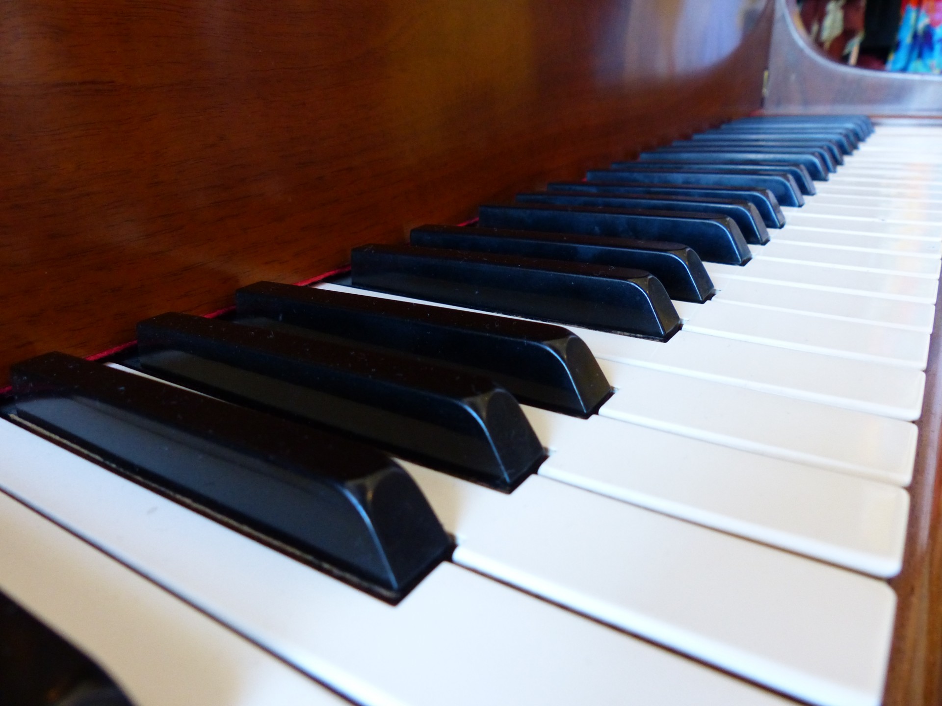 piano keys white free photo