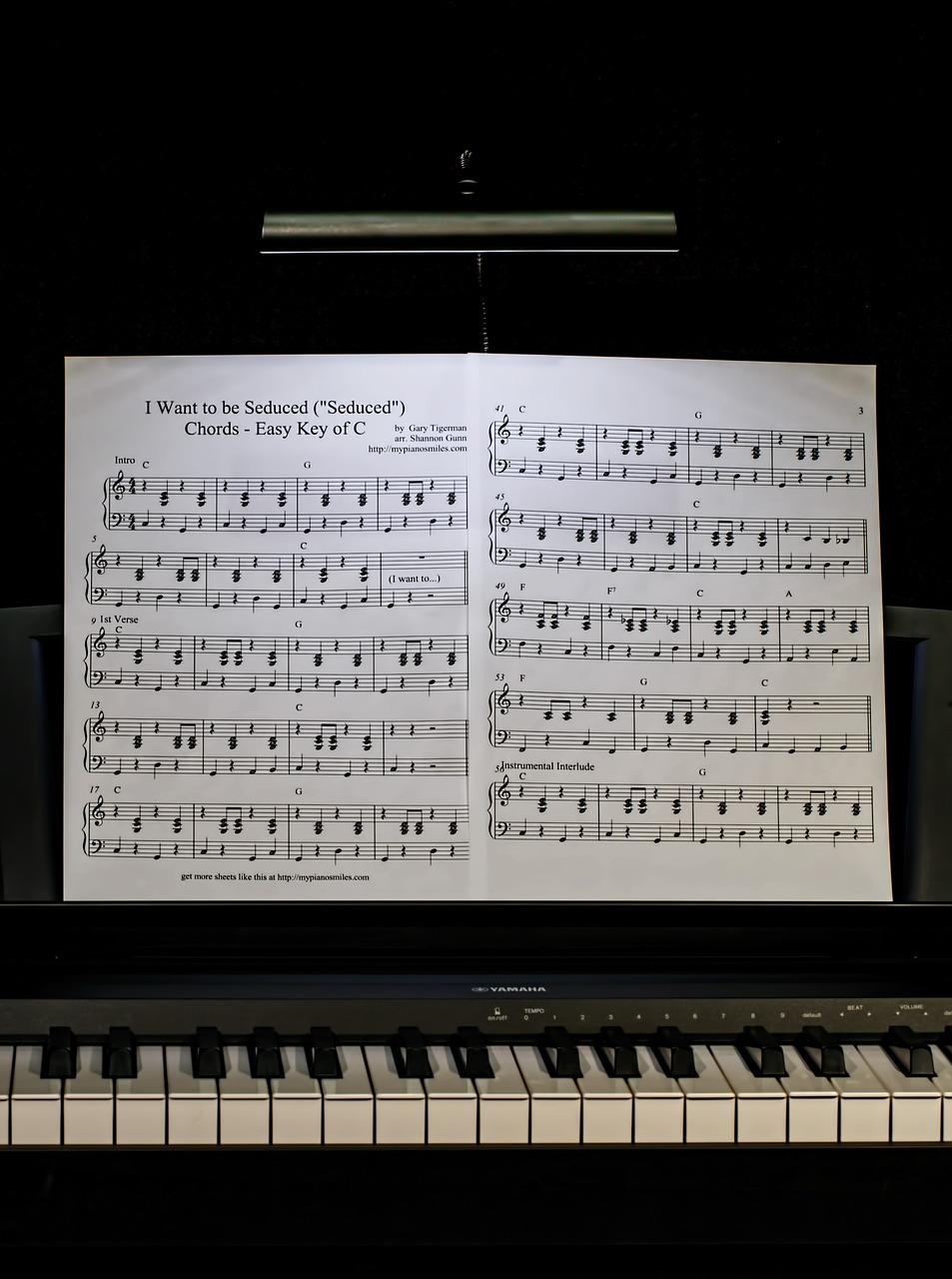 piano lesson music keyboard free photo