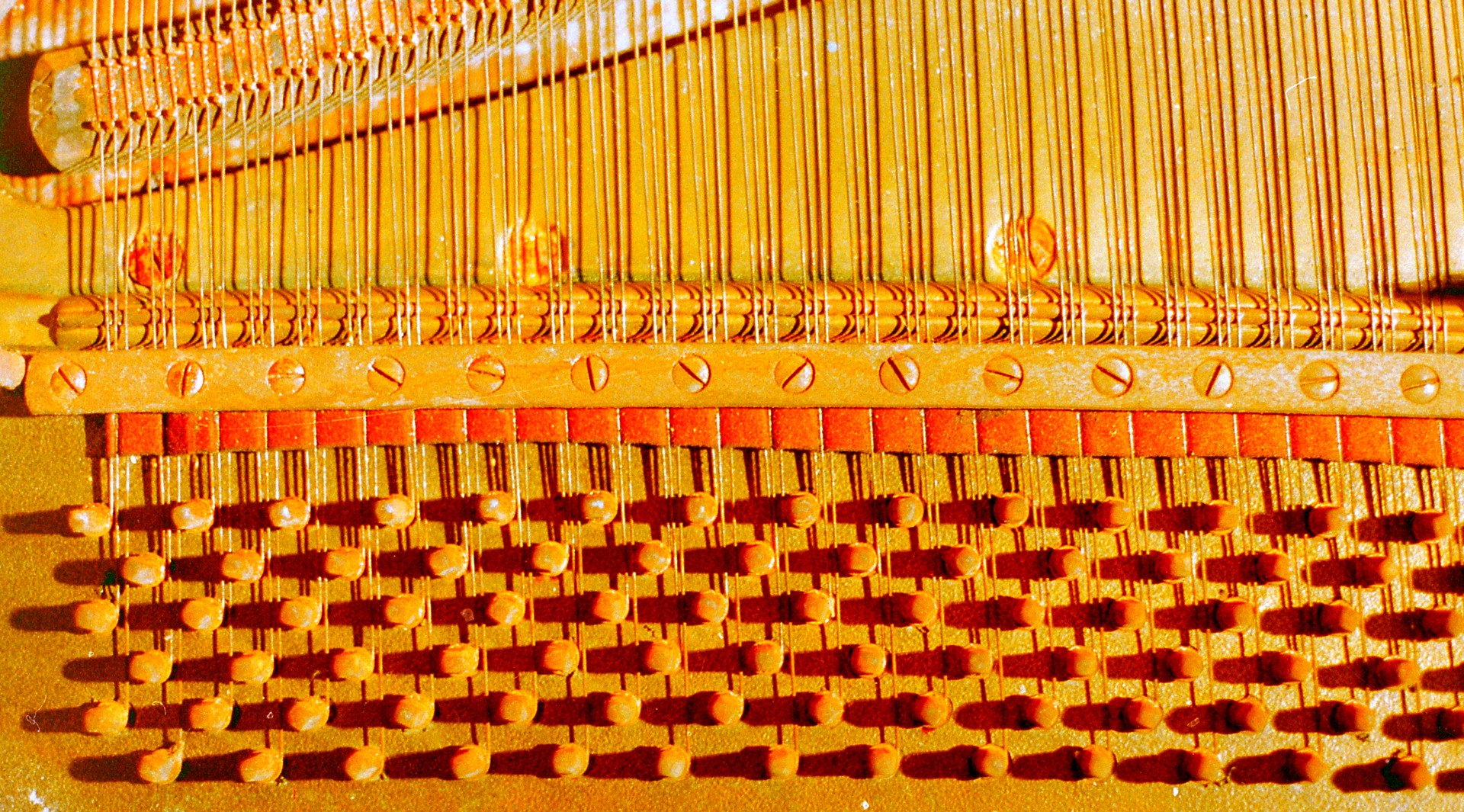 piano strings piano strings free photo