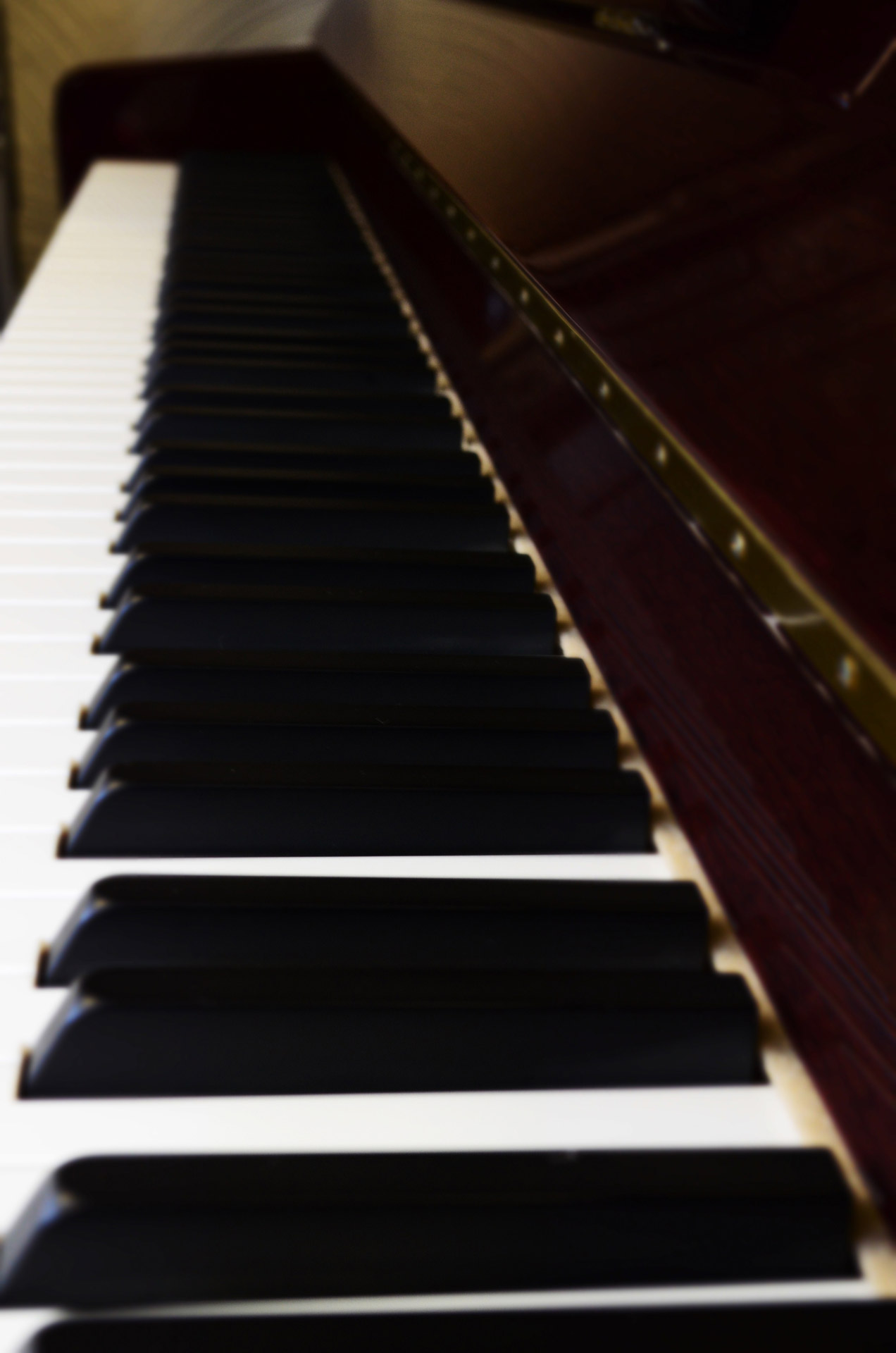 pianoforte piano music free photo