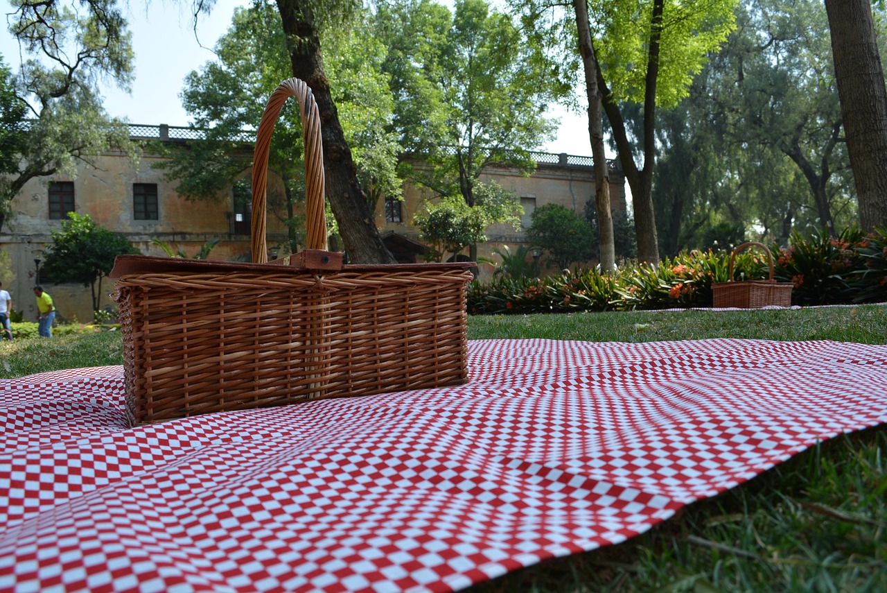 pic-nic field day basket free photo