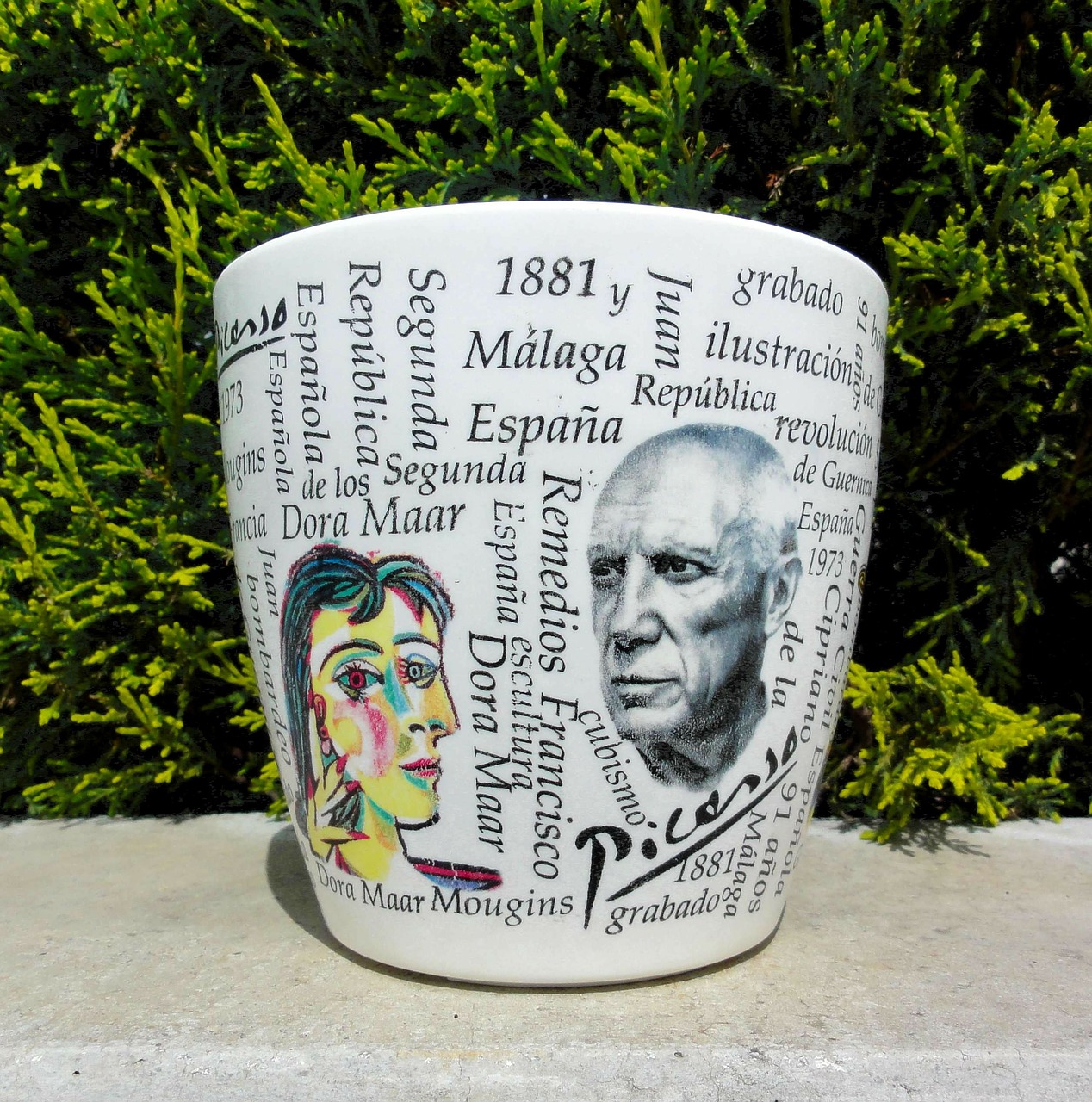 picasso flower pot cup free photo