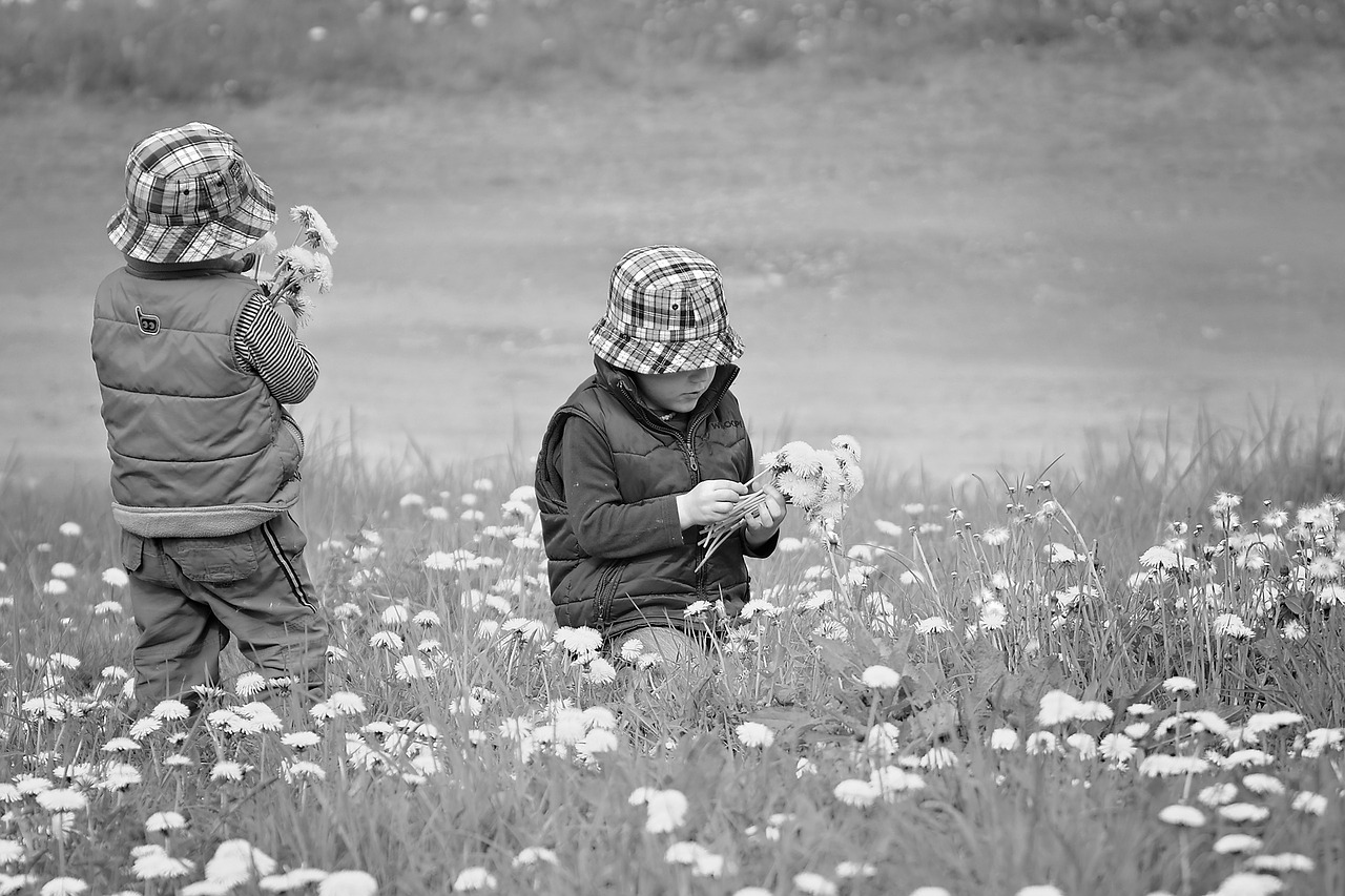 pick flowers children meadow free photo