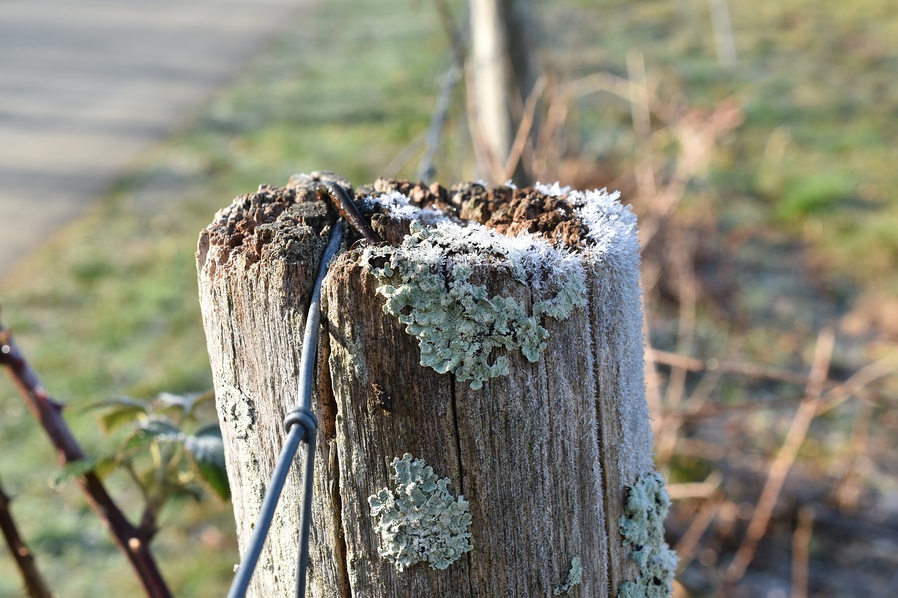 picket  closing  wood free photo