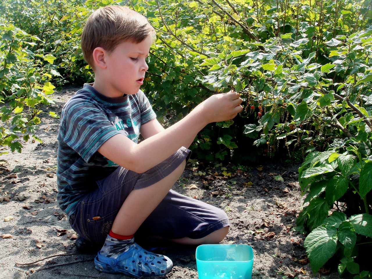 picking boy carefully free photo